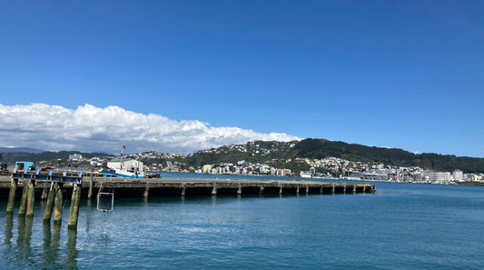 Do Not Become Your Own Prison