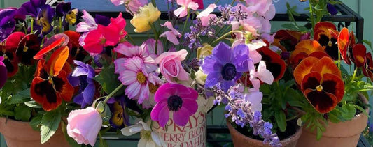 Stay in Your Own Lane: A Lesson in Life's Unexpected Timing